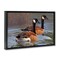 Stupell Industries Backwater Canada Geese Framed Floater Canvas Wall Art Design by Rod Lawrence